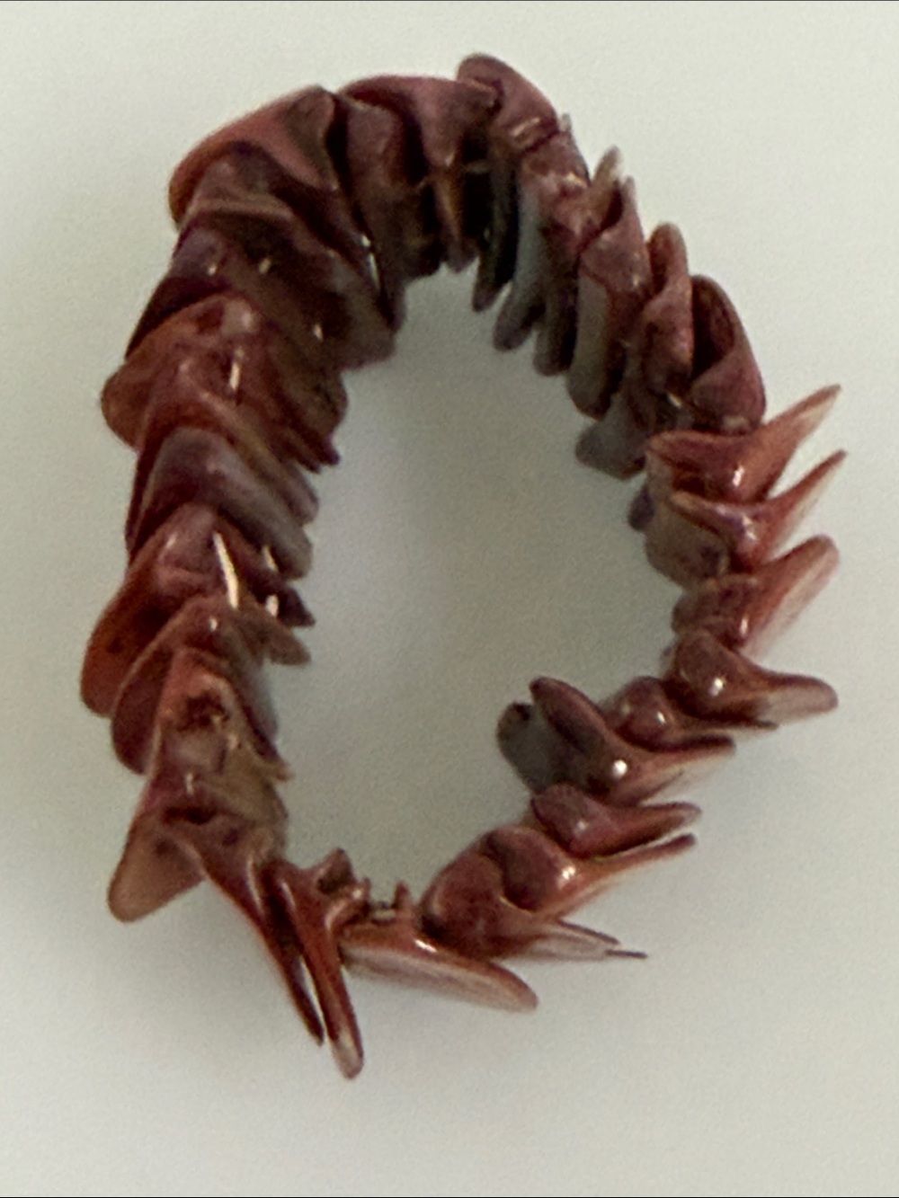 Shell Disk Stretch Bracelet - Picture 5 of 5